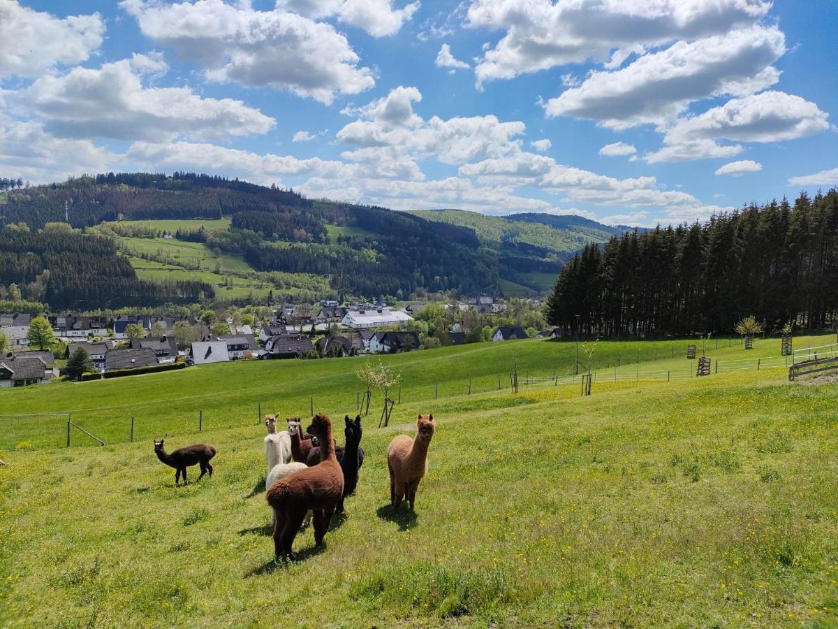 Pension Sauerland ヴィンターベルク エクステリア 写真
